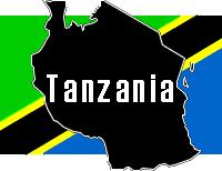 From Tanzania: International and interdisciplinary creativity at work